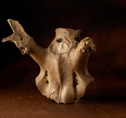 Antler headdress, Scarborough Museums Trust