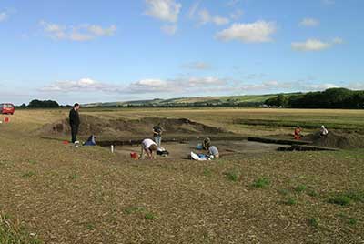 People working in the landscape