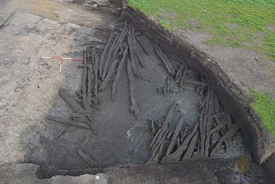 In situ wood remains